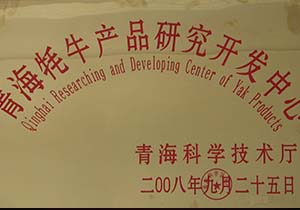&#80;&#84;&#30495;&#20154;&#65288;&#20013;&#22269;&#65289;&#23448;&#26041;&#32593;&#31449;