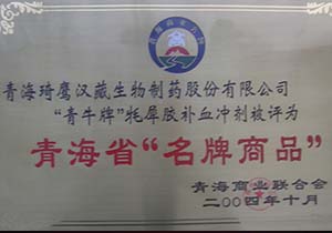 &#80;&#84;&#30495;&#20154;&#65288;&#20013;&#22269;&#65289;&#23448;&#26041;&#32593;&#31449;